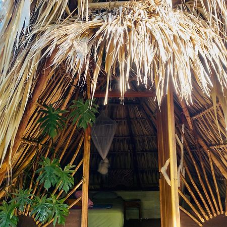 Calypso Cabanas El Paredón Buena Vista Eksteriør billede