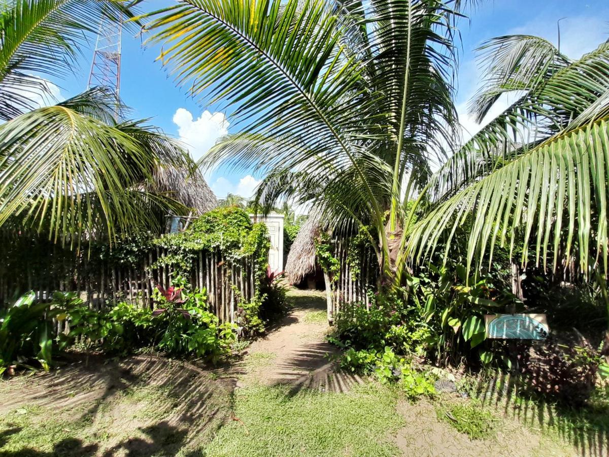 Calypso Cabanas El Paredón Buena Vista Eksteriør billede