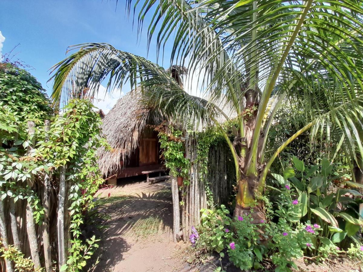 Calypso Cabanas El Paredón Buena Vista Eksteriør billede