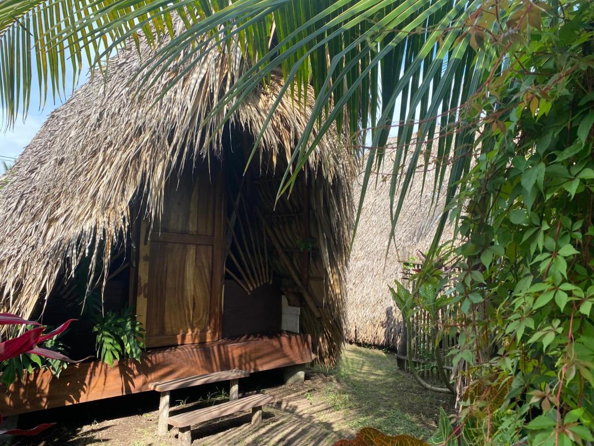 Calypso Cabanas El Paredón Buena Vista Eksteriør billede