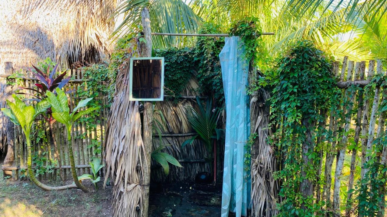 Calypso Cabanas El Paredón Buena Vista Eksteriør billede