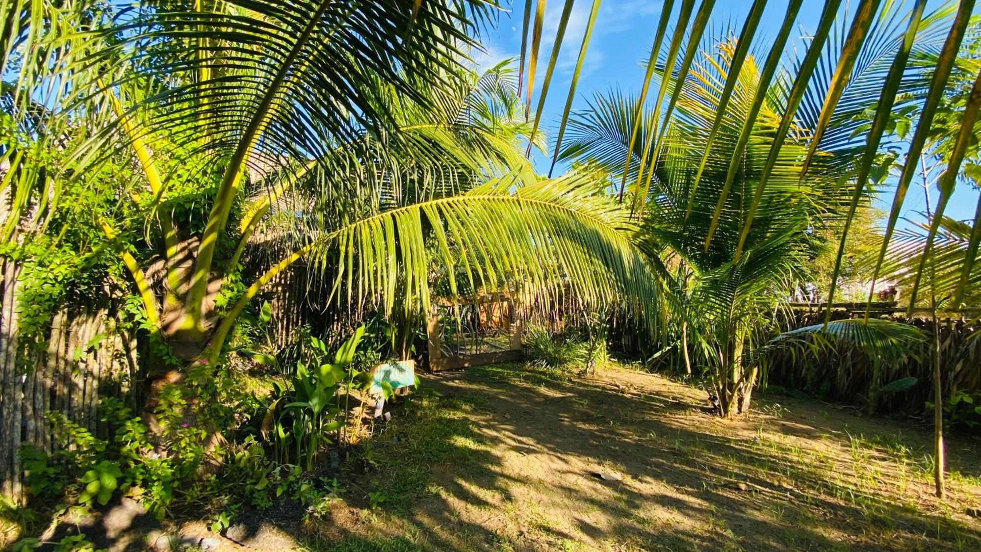 Calypso Cabanas El Paredón Buena Vista Eksteriør billede