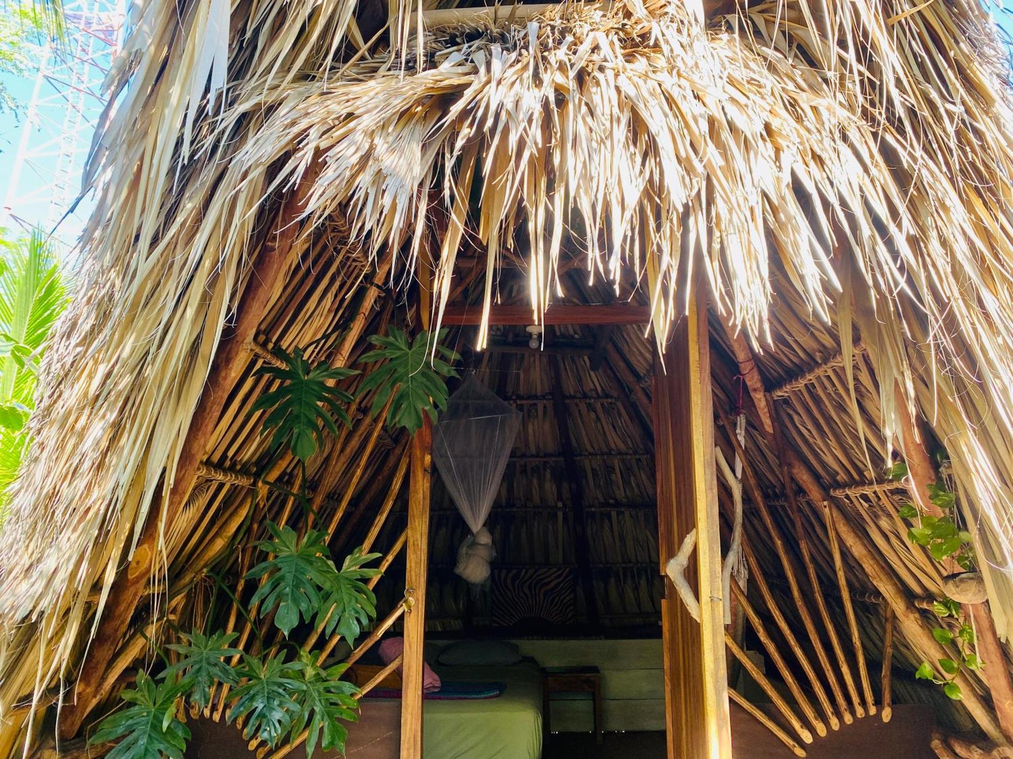Calypso Cabanas El Paredón Buena Vista Eksteriør billede