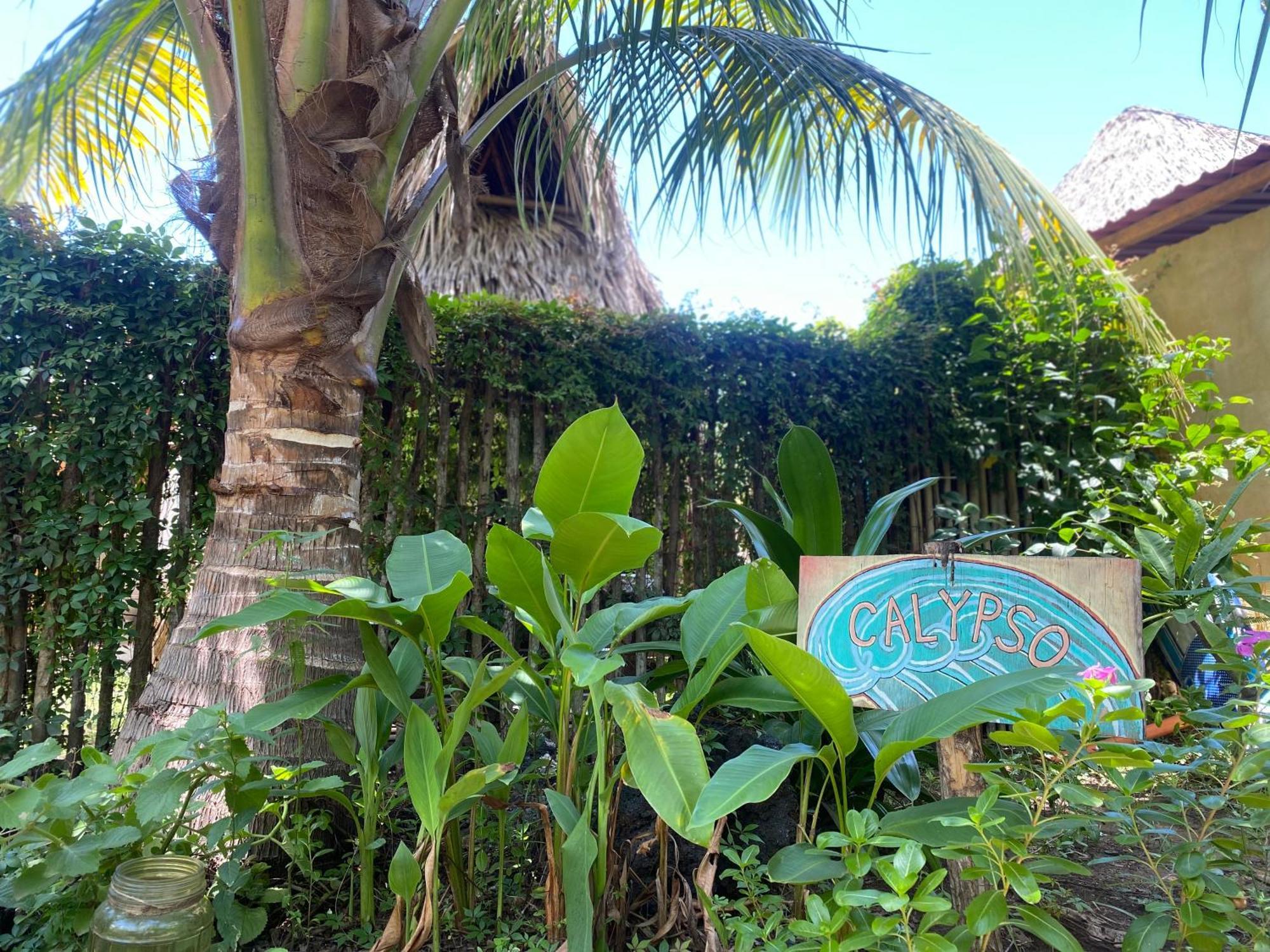 Calypso Cabanas El Paredón Buena Vista Eksteriør billede