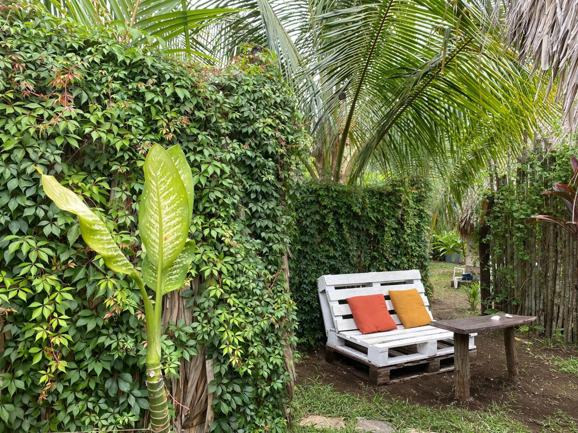 Calypso Cabanas El Paredón Buena Vista Eksteriør billede