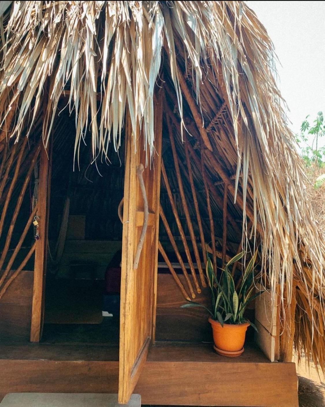Calypso Cabanas El Paredón Buena Vista Eksteriør billede